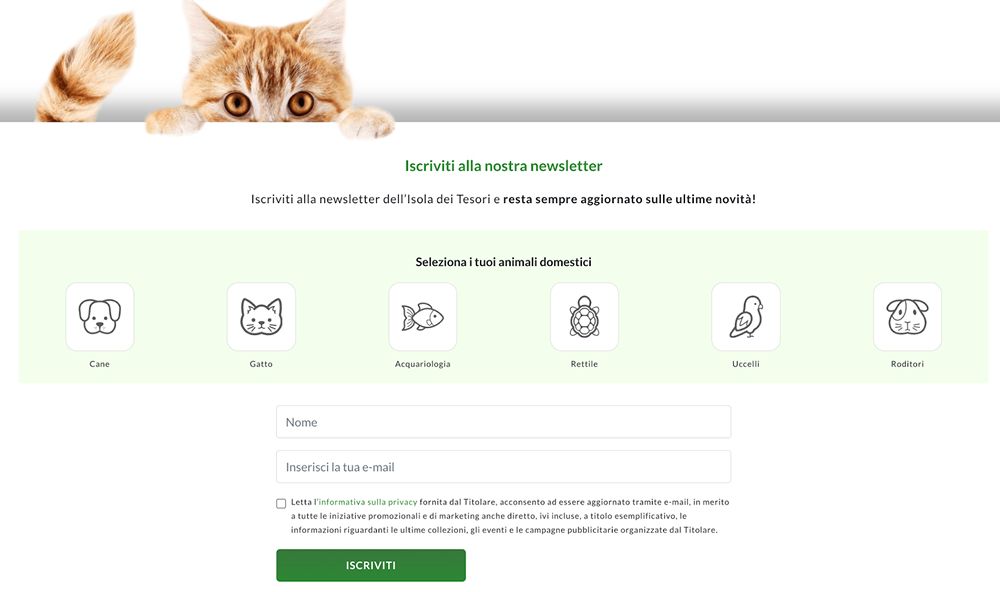 Flusso Welcome Zooplus